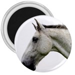 White Horse 3  Magnet