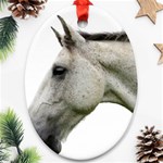White Horse Ornament (Oval)