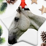 White Horse Ornament (Star)