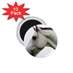 White Horse 1.75  Magnet (10 pack) 