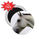 White Horse 2.25  Magnet (10 pack)