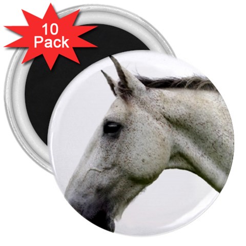 White Horse 3  Magnet (10 pack) from ArtsNow.com Front