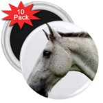 White Horse 3  Magnet (10 pack)