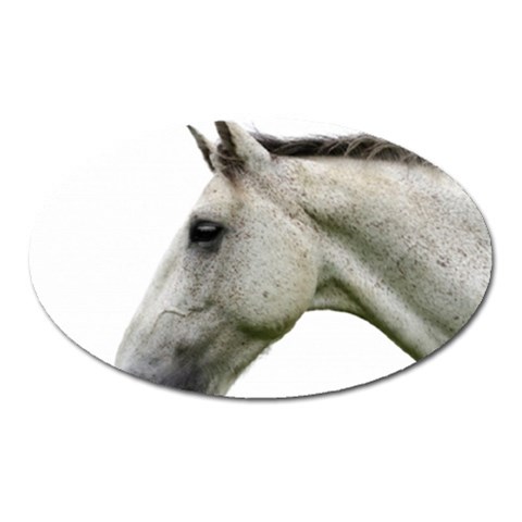 White Horse Magnet (Oval) from ArtsNow.com Front
