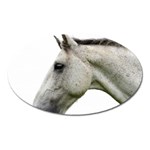 White Horse Magnet (Oval)