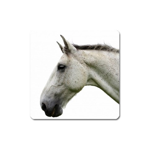White Horse Magnet (Square) from ArtsNow.com Front