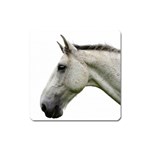 White Horse Magnet (Square)