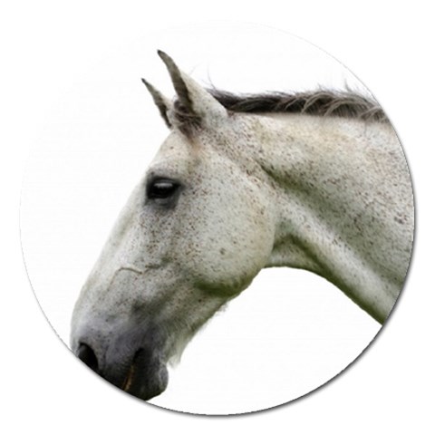 White Horse Magnet 5  (Round) from ArtsNow.com Front