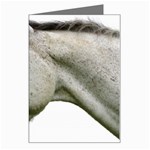 White Horse Greeting Card