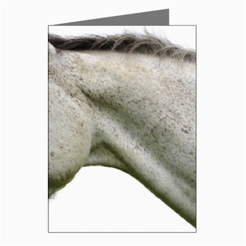 White Horse Greeting Cards (Pkg of 8) from ArtsNow.com Left