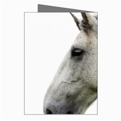 White Horse Greeting Cards (Pkg of 8) from ArtsNow.com Right
