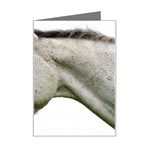 White Horse Mini Greeting Card