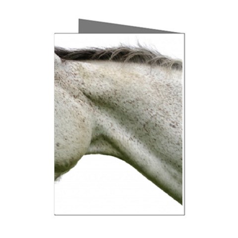 White Horse Mini Greeting Cards (Pkg of 8) from ArtsNow.com Left