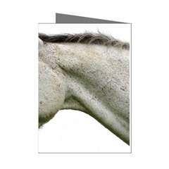 White Horse Mini Greeting Cards (Pkg of 8) from ArtsNow.com Left