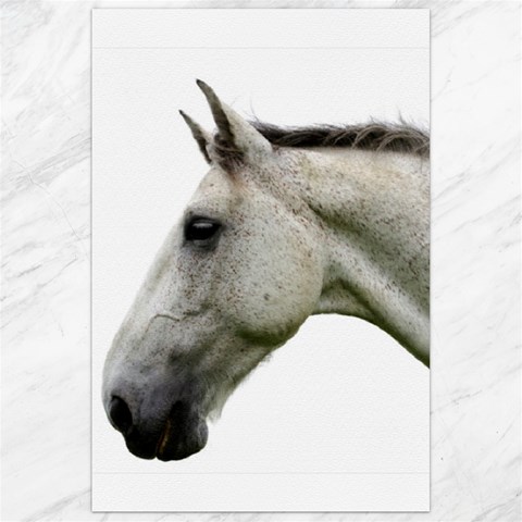 White Horse Canvas 24  x 36  from ArtsNow.com 23.35 x34.74  Canvas - 1