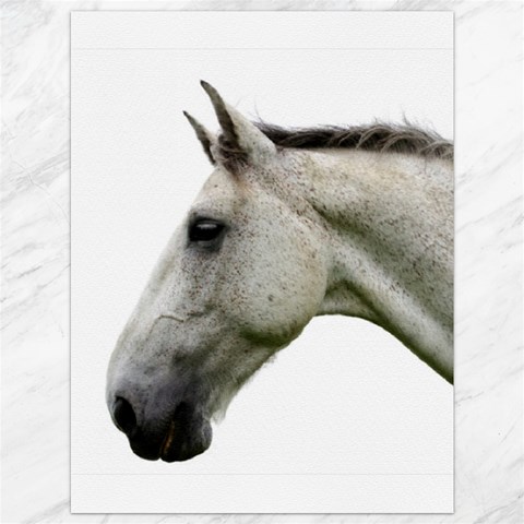 White Horse Canvas 36  x 48  from ArtsNow.com 35.26 x46.15  Canvas - 1
