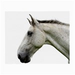 White Horse Small Glasses Cloth (2 Sides)