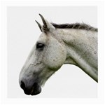 White Horse Medium Glasses Cloth