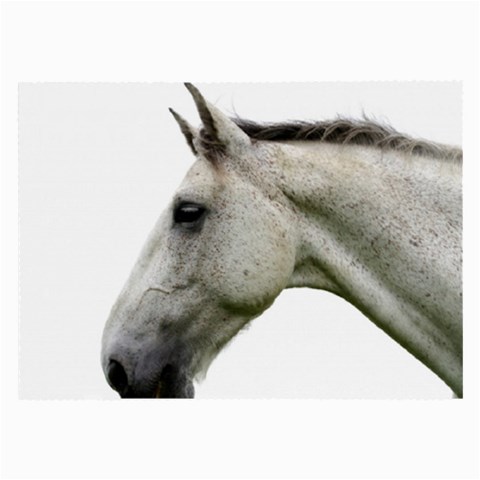White Horse Large Glasses Cloth (2 Sides) from ArtsNow.com Front
