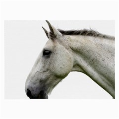 White Horse Large Glasses Cloth (2 Sides) from ArtsNow.com Front