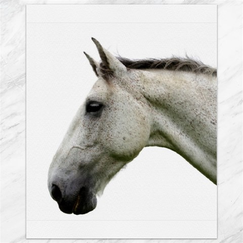 White Horse Canvas 11  x 14  from ArtsNow.com 10.95 x13.48  Canvas - 1