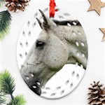 White Horse Ornament (Oval Filigree)