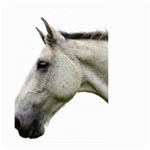 White Horse Small Garden Flag (Two Sides)