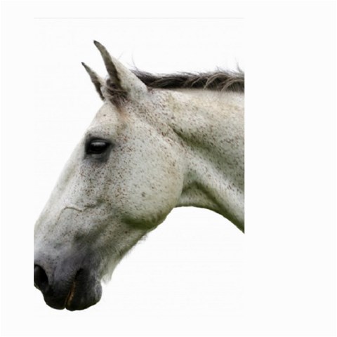 White Horse Large Garden Flag (Two Sides) from ArtsNow.com Front