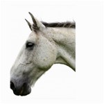 White Horse Large Garden Flag (Two Sides)