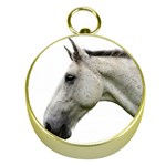 White Horse Gold Compass