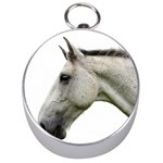 White Horse Silver Compass
