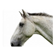 White Horse Double Sided Flano Blanket (Mini) from ArtsNow.com 35 x27  Blanket Back