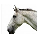 White Horse Double Sided Flano Blanket (Small)