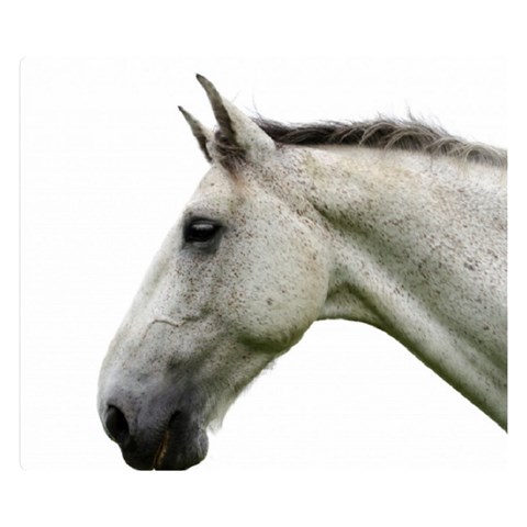 White Horse Double Sided Flano Blanket (Small) from ArtsNow.com 50 x40  Blanket Back