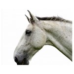 White Horse Double Sided Flano Blanket (Medium)