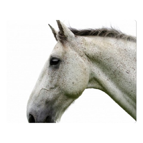 White Horse Double Sided Flano Blanket (Large) from ArtsNow.com 80 x60  Blanket Front