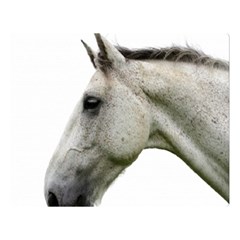 White Horse Double Sided Flano Blanket (Large) from ArtsNow.com Blanket Back