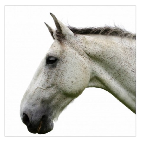 White Horse Large Satin Scarf (Square) from ArtsNow.com Front
