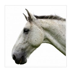 White Horse Duvet Cover Double Side (Queen Size) from ArtsNow.com Back