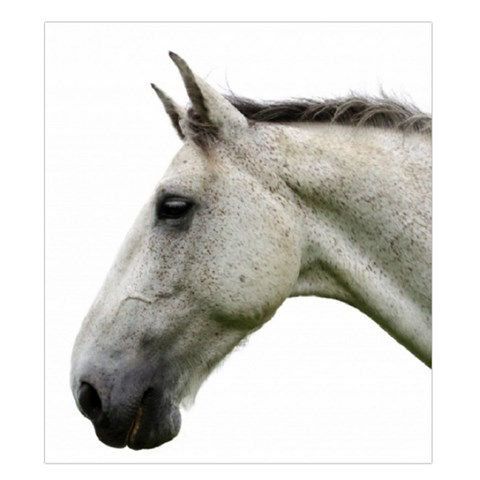 White Horse Duvet Cover Double Side (King Size) from ArtsNow.com Front