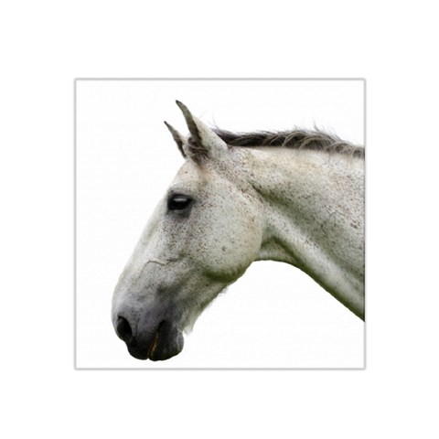 White Horse Satin Bandana Scarf from ArtsNow.com Front