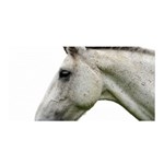 White Horse Satin Wrap