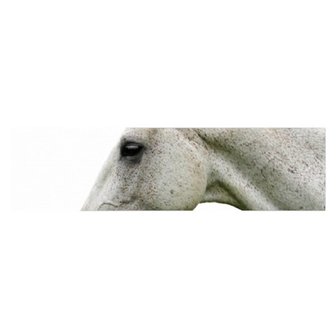 White Horse Satin Scarf (Oblong) from ArtsNow.com Front
