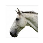 White Horse Small Satin Scarf (Square)