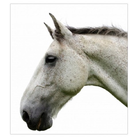 White Horse Drawstring Pouch (XXL) from ArtsNow.com Front