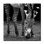 Zebra Tile Coaster
