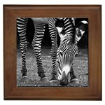 Zebra Framed Tile