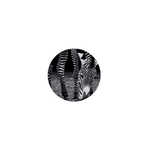 Zebra 1  Mini Button from ArtsNow.com Front