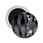 Zebra 2.25  Magnet