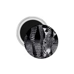 Zebra 1.75  Magnet